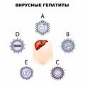 Меры профилактики парентеральных вирусных гепатитов